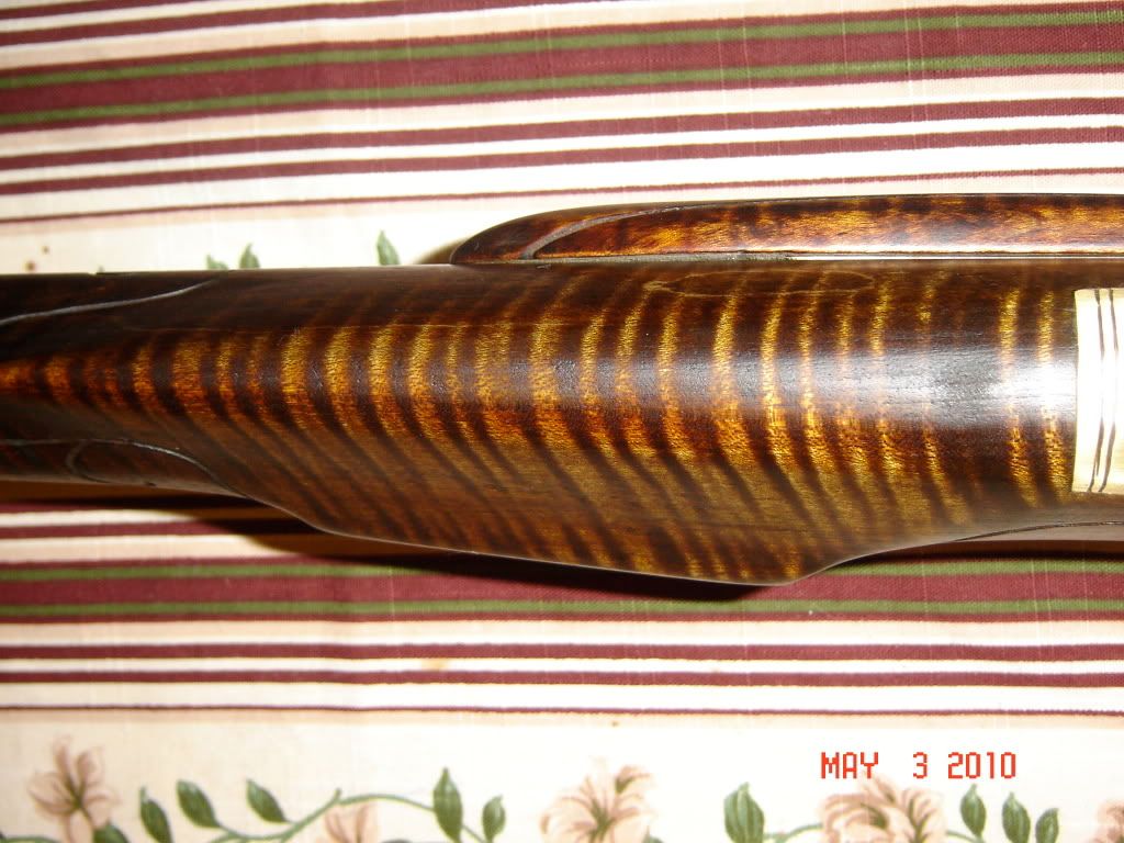 When using aquafortis stain, is the chatoyancy of the curly maple